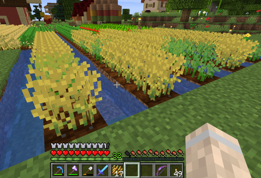 An example rice farm configuration